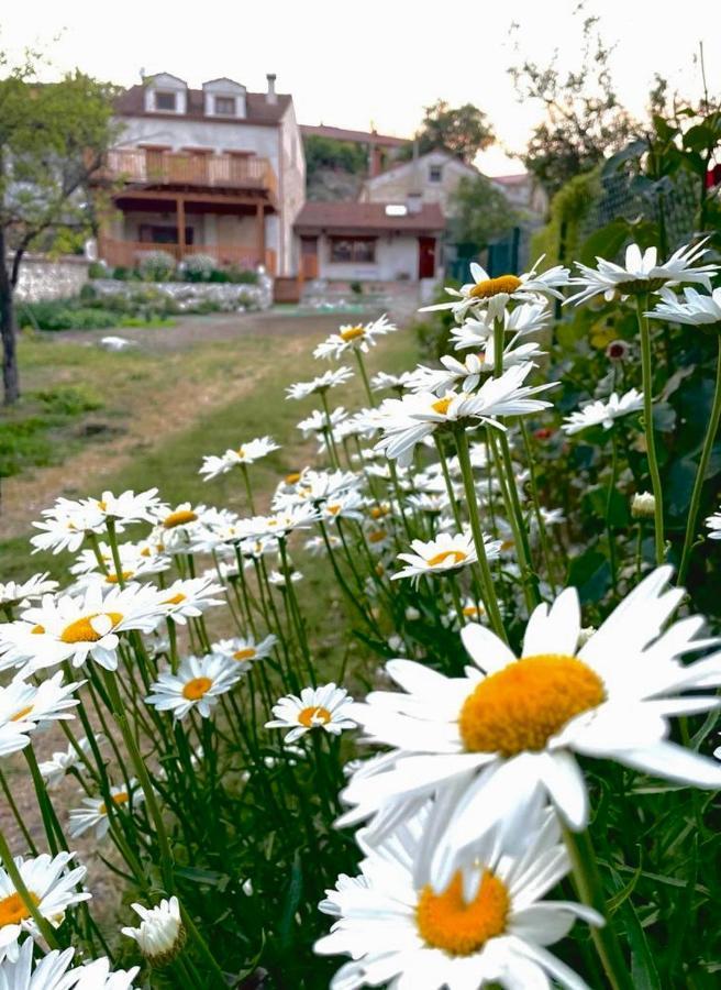 Alojamiento Gaia Aldeasona Buitenkant foto