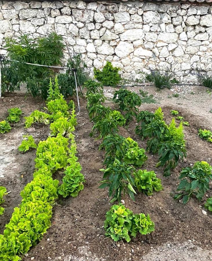 Alojamiento Gaia Aldeasona Buitenkant foto